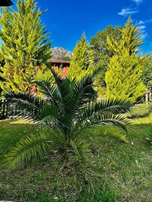 Villa La Coqueta Del Sueve Arriondas Exterior foto